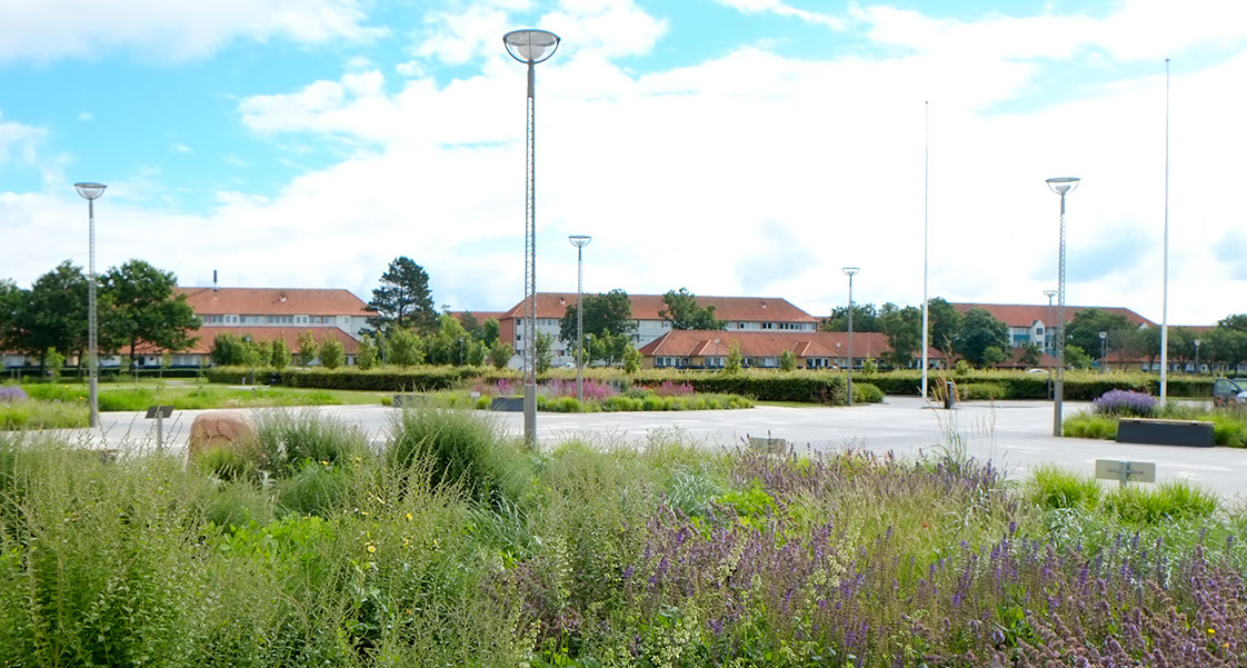 Have design Landskabsarkitekur havedesign Thomas Vejsnæs Varde Rådshus