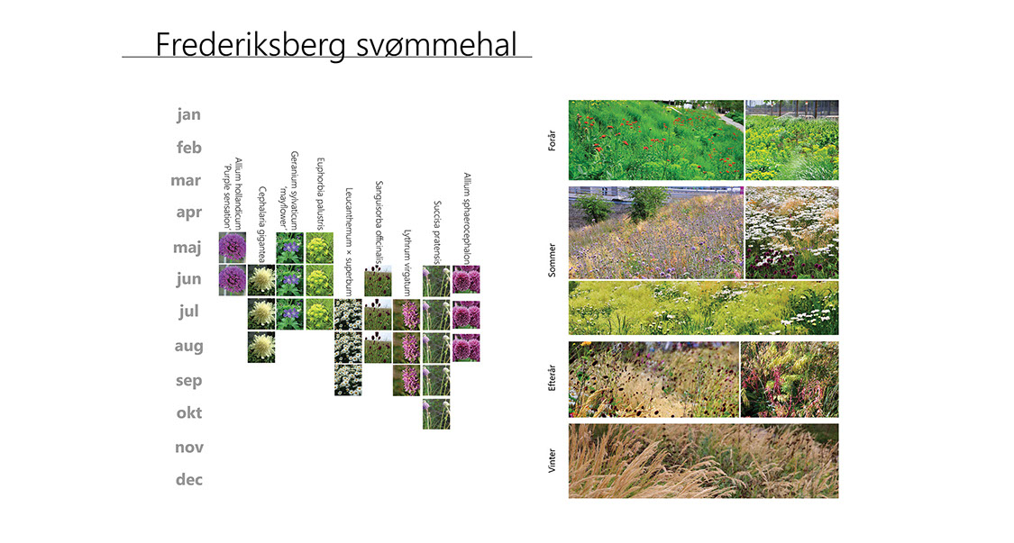 Plantediagram Thomas Vejsnæs Havedesign have design landskabsarkitektur Frederiksberg 